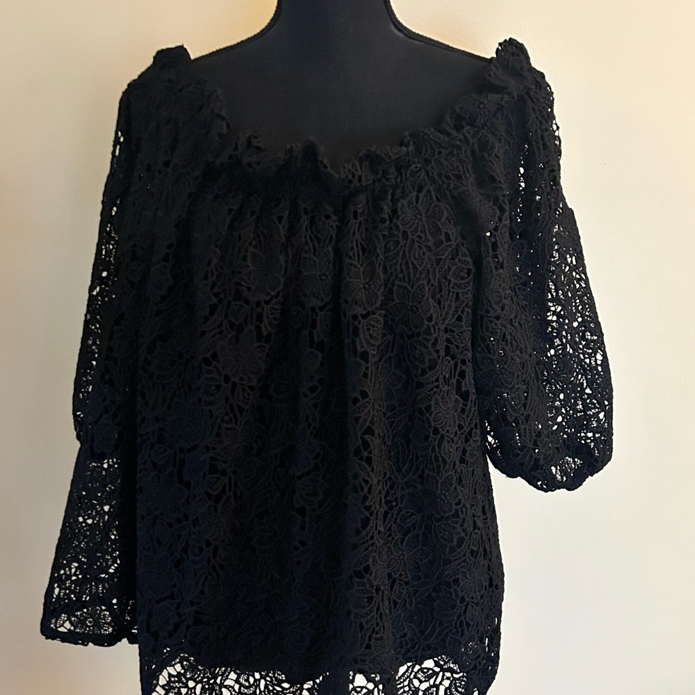 Mauve for Anthropologie Elegant Black Lace Women's Top